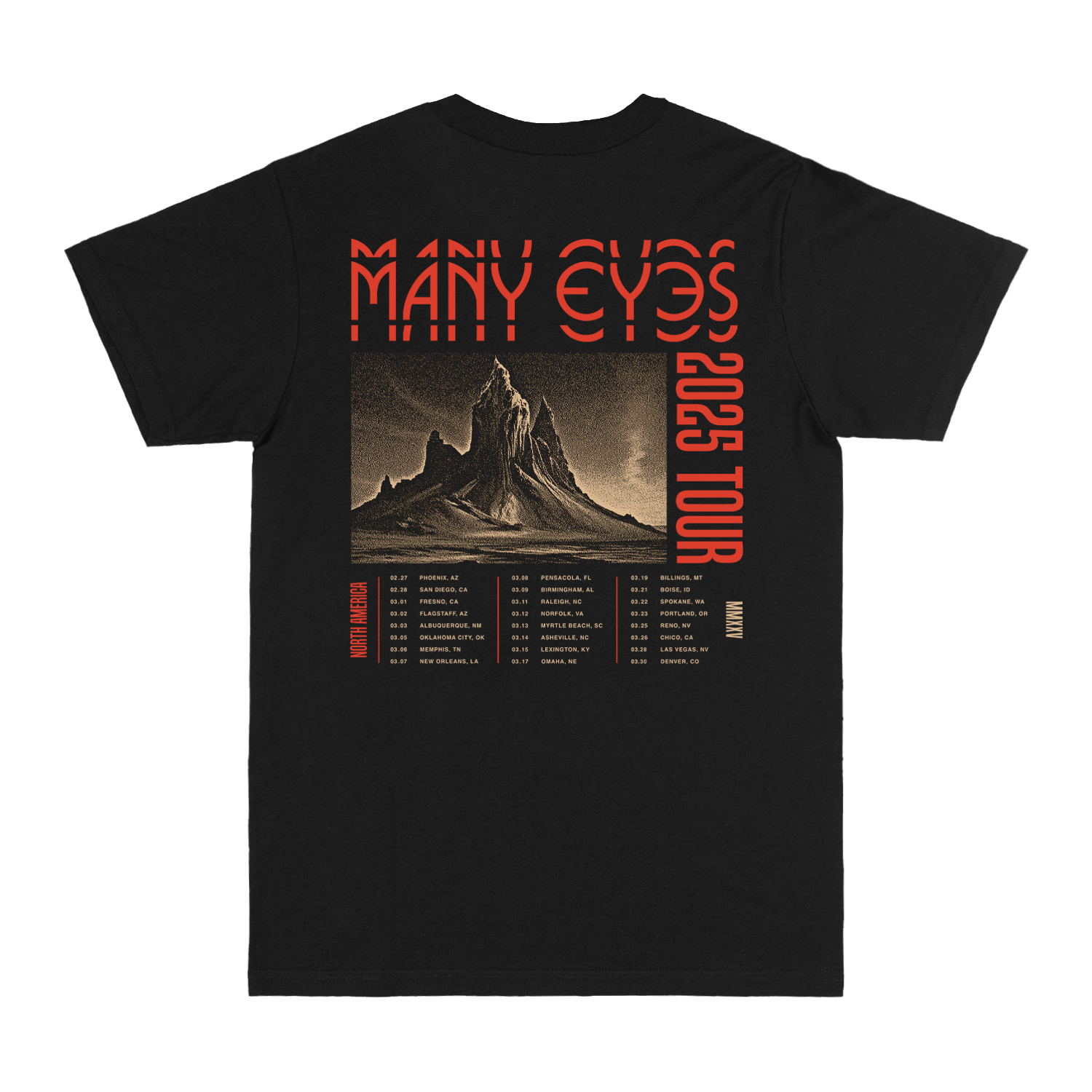Spring 2025 Tour Tee
